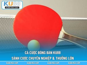 Cá cược bóng bàn KU88