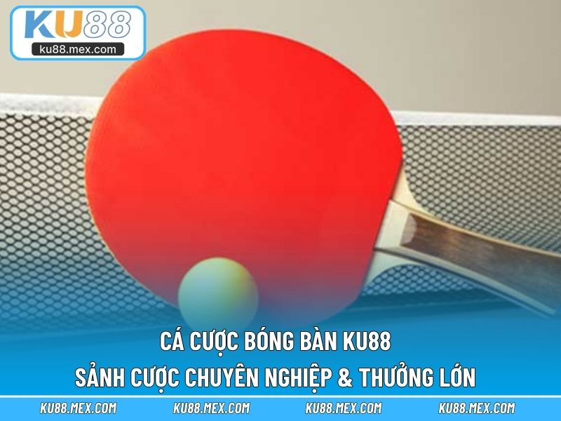 Cá cược bóng bàn KU88