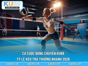 Cá cược bóng chuyền KU88