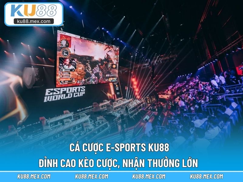 Cá cược e-sports KU88