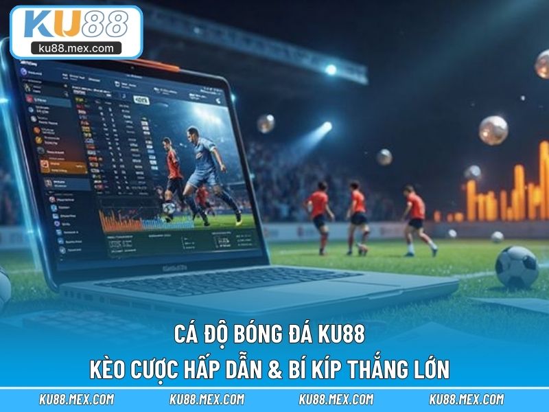 Cá độ bóng đá KU88