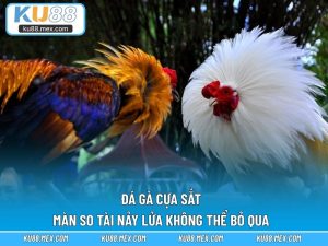 Đá Gà Cựa Sắt