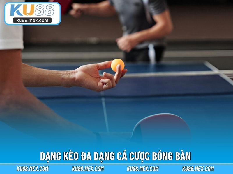 Dạng kèo đa dạng cá cược bóng bàn cho hội viên
