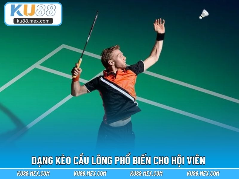 Khám phá dạng kèo cầu lông phổ biến cho hội viên