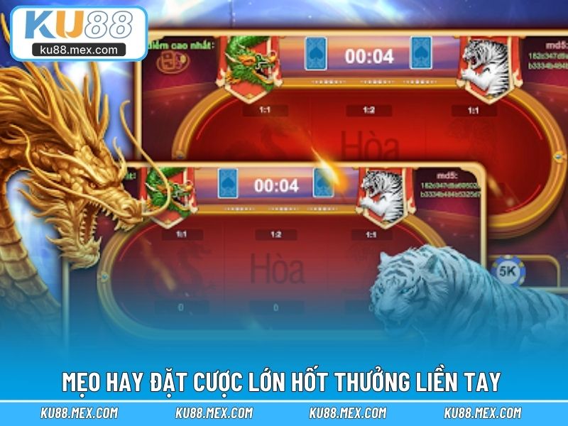 Mẹo hay đặt cược lớn hốt thưởng liền tay