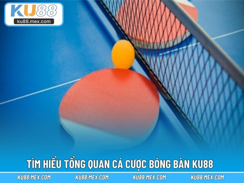 Tìm hiểu tổng quan cá cược bóng bàn KU88
