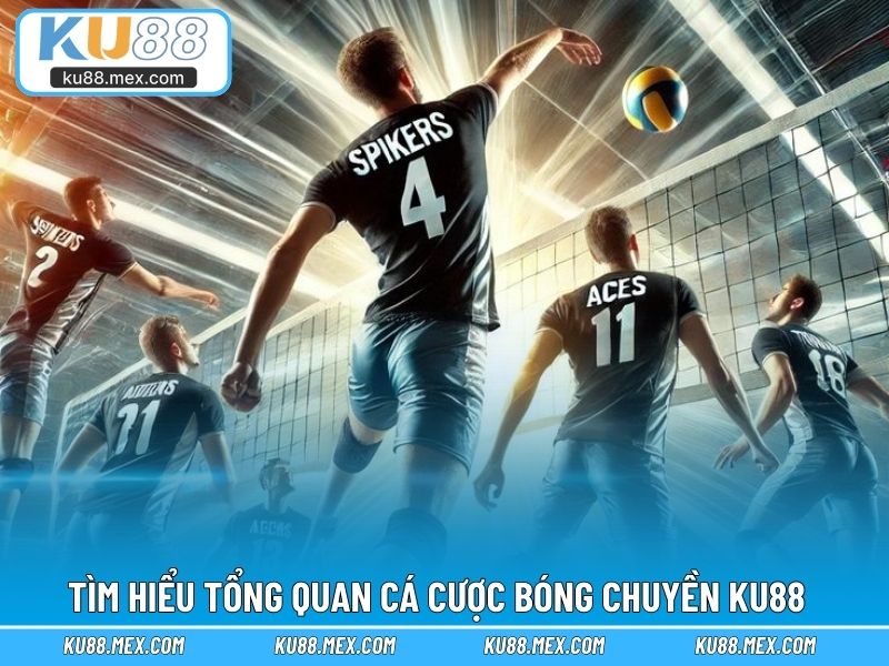 Tìm hiểu tổng quan cá cược bóng chuyền KU88