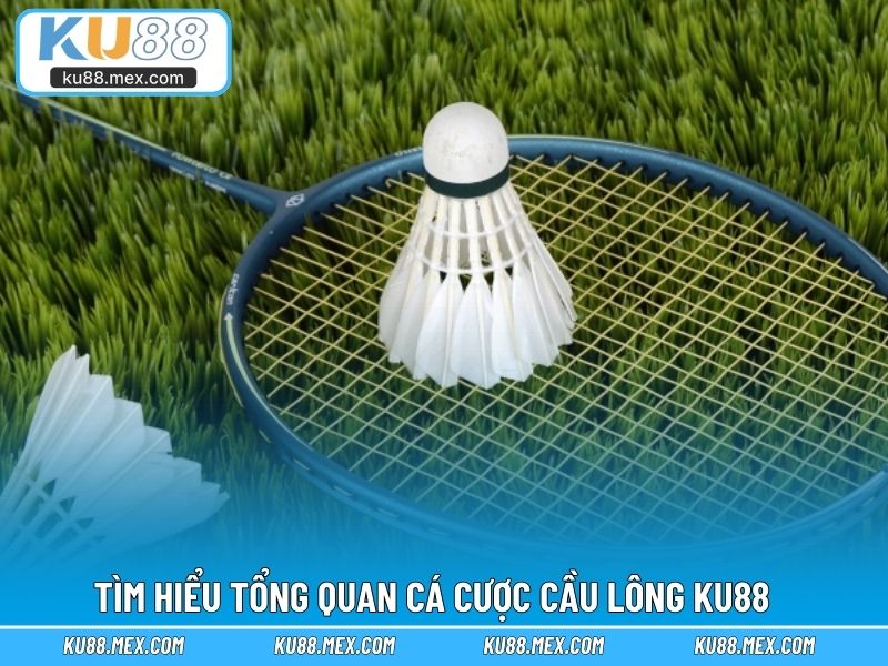 Tìm hiểu tổng quan cá cược cầu lông KU88 