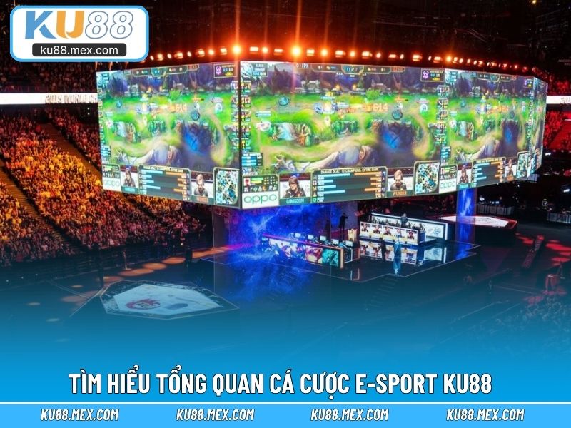 Tìm hiểu tổng quan cá cược e-sport KU88