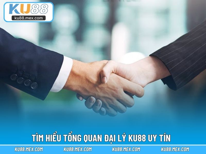 Tìm hiểu tổng quan đại lý KU88 uy tín