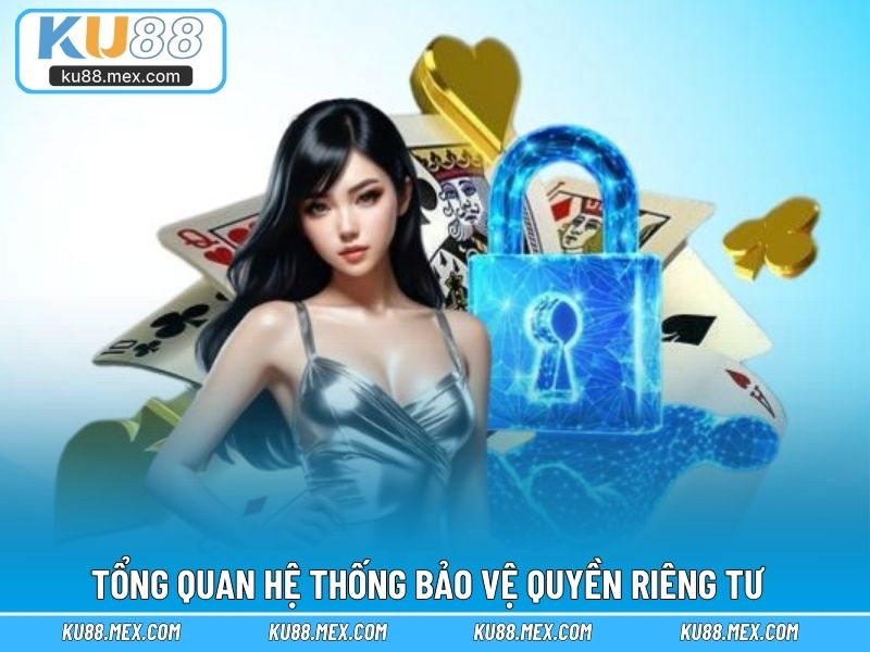 Tìm hiểu tổng quan hệ thống bảo vệ quyền riêng tư