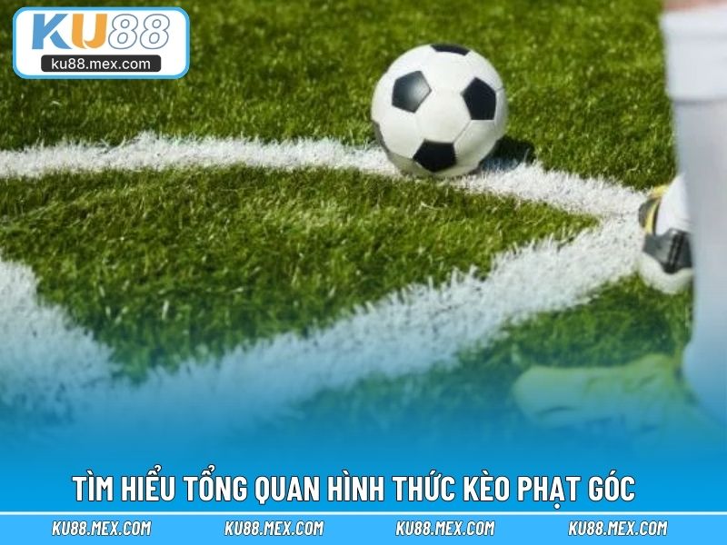 Tìm hiểu tổng quan hình thức kèo phạt góc 